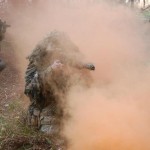 522397_631096426907595_52951065_n